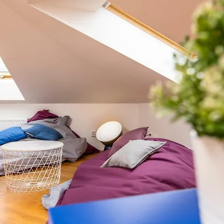 公寓 Dancing House Riverside Penthouse #18 布拉格